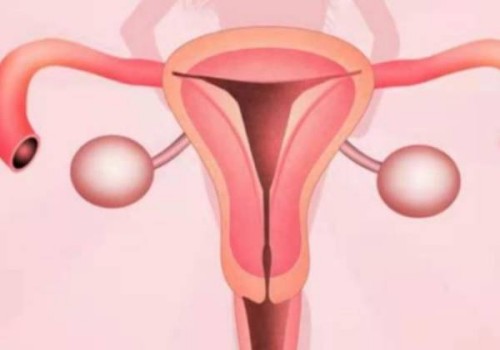 哪些因素导致多囊的女性在促排之后仍然怀孕不成功？