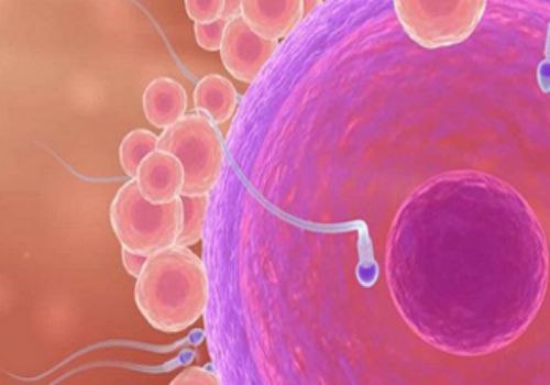 什么是母乳性腹泻，母乳性腹泻的几个原因分析